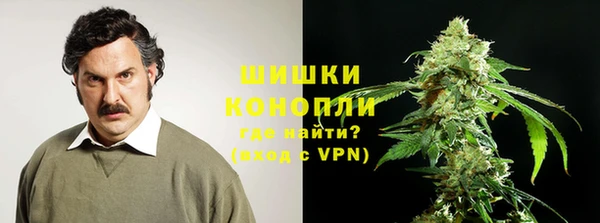 spice Беломорск
