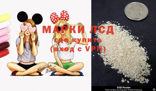 spice Беломорск