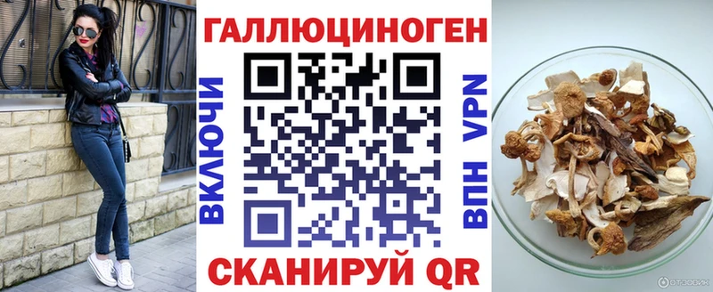 Галлюциногенные грибы MAGIC MUSHROOMS  сколько стоит  Буйнакск 