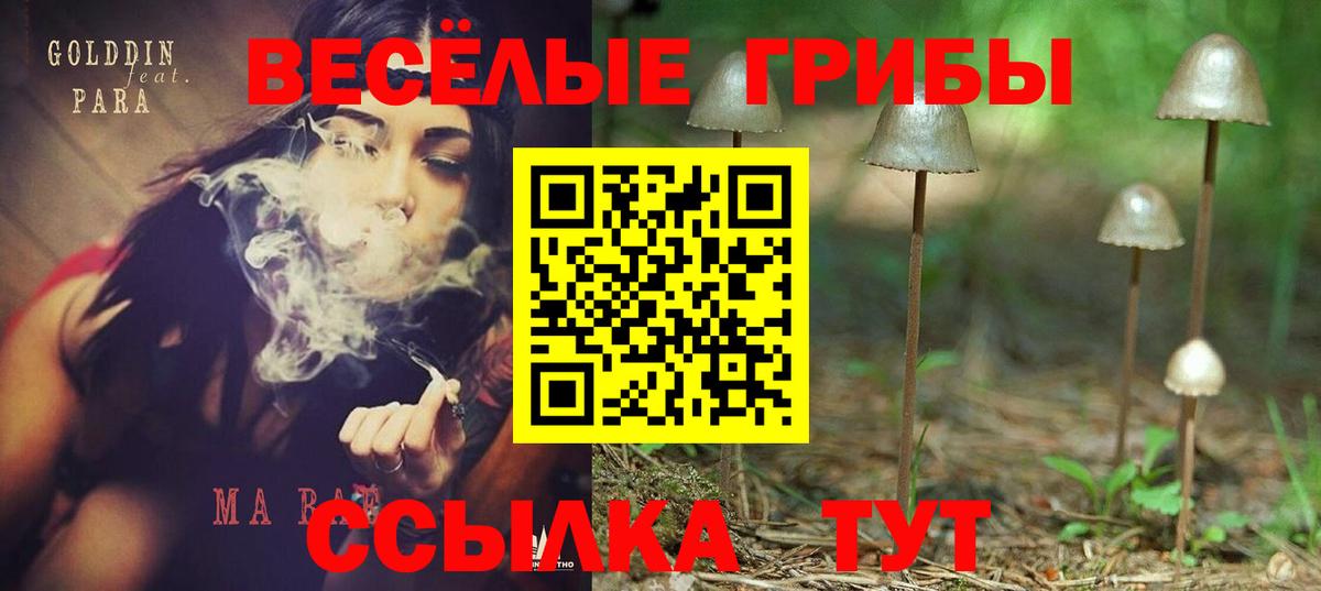 Псилоцибиновые грибы мицелий Буйнакск