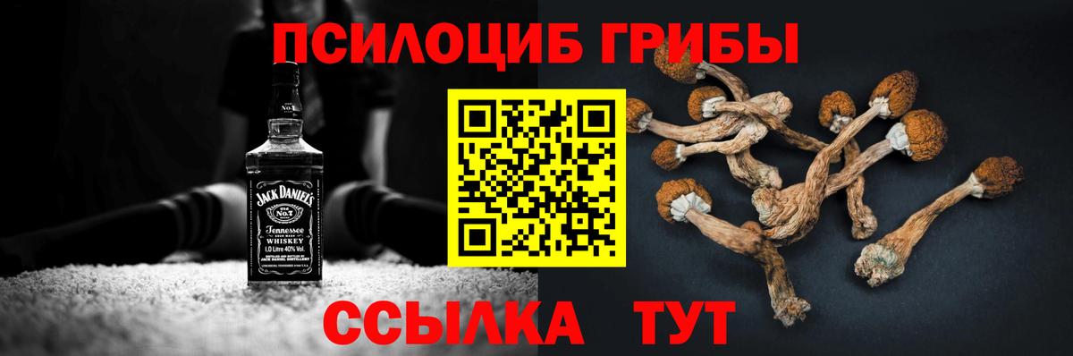 Псилоцибиновые грибы Magic Shrooms  Псилоцибиновые грибы прущие грибы  Буйнакск  Вход с VPN 